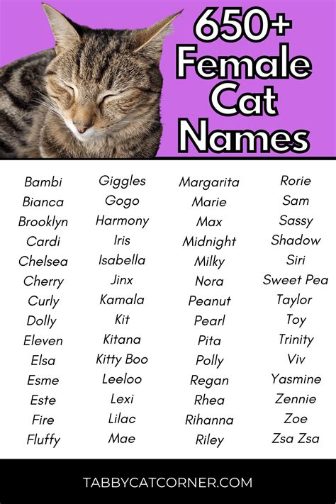 cat names female list